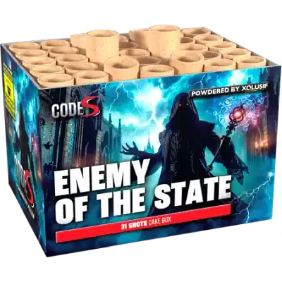 enemy of the state